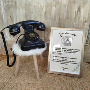 Téléphone livre d'or audio