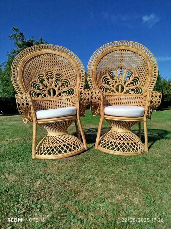 Fauteuil Emmanuelle