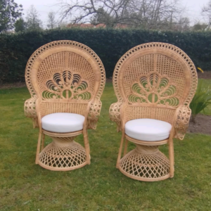 Fauteuil Emmanuelle
