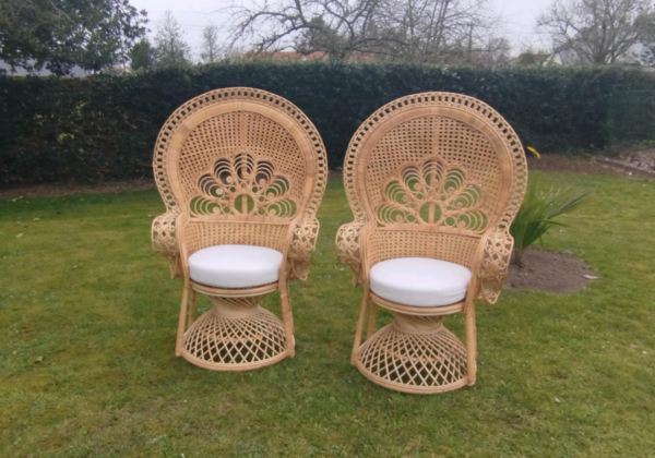 Fauteuil Emmanuelle