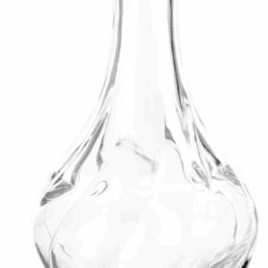 Petit vase transparent