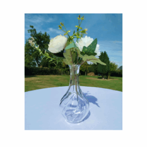 Petit vase transparent